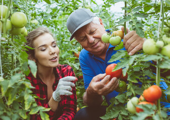 Na zdjęciu rolnik pokazuje kobiecie stojącej obok pomidora wosnącego na krzaku. Zdjęcie sugeruje, że rolnik przekazuje tej osobie wiedzę na temat warzyw i upraw.