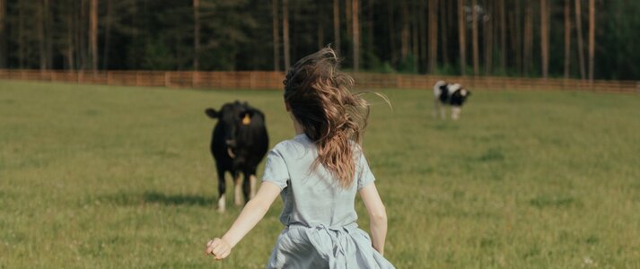 Na zdjęciu znajduje się kobieta biegnąca w stronę krów pasących się na polu. Scenę obserwujemy zza pleców kobiety.
