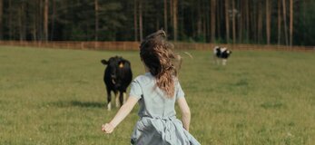 Na zdjęciu znajduje się kobieta biegnąca w stronę krów pasących się na polu. Scenę obserwujemy zza pleców kobiety.