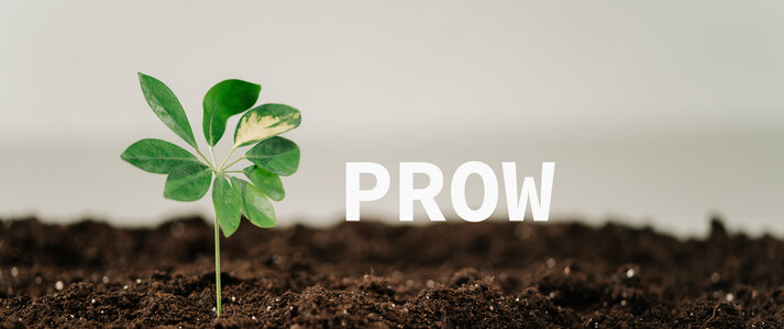 Zdjęcie przedstawia roślinę wyrastającą z gleby, obok napisu PROW.