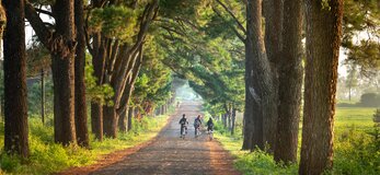 Zdjęcie przedstawia troje dzieci na rowerach, w wiejskiej scenerii.