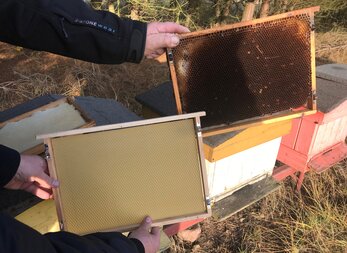Aktywizacja mieszkańców województwa wielkopolskiego w kierunku działań podejmowanych na rzecz zwiększenia świadomości na temat hodowli pszczół oraz form promocji pszczelarstwa