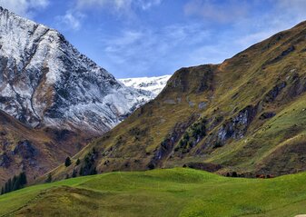 Na zdjęciu znajduje się krajobraz szwajcarii. Na pierwszym planie owce wchodzące pod górę, w tle, za sobą mające widok na góry.