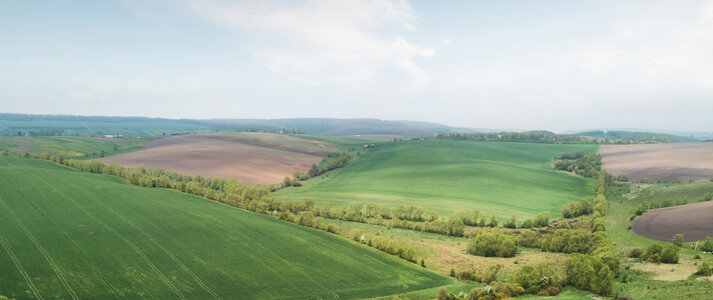 Na zdjęciu znajduje się widok z lotu ptaka na pola zielone, ciągnące się po horyzont.