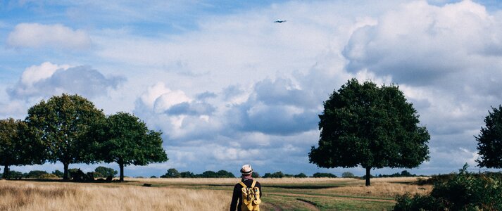 Zdjęcie przedstawia osobę idącą wiejską ścieżką otoczoną przez pola pszenicy.