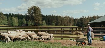 Zdjecie przedstawia krajobraz wiejski, z obrazem gospodarstwa rolnego na planie pierwszym, a tam - owce, rolnik, zagroda, domostwo i las na horyzoncie.