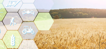 Digital icons for management and monitoring agriculture