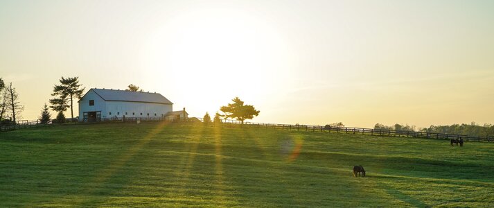 Zdjęcie przedstawia gospodarstwo rolne o wschodzie słońca, z widokiem na budynek gospodarczy i pasące się na planie pierwszym zwierzęta.