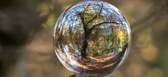 Zdjęcie przedstawia szklaną kulę, a w niej odbijający się świat natury, bogaty w kolory parku jesienią zastanego.