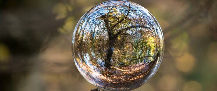 Zdjęcie przedstawia szklaną kulę, a w niej odbijający się świat natury, bogaty w kolory parku jesienią zastanego.